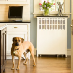 home rebuilders